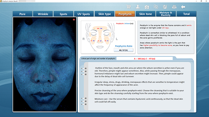 Sebum